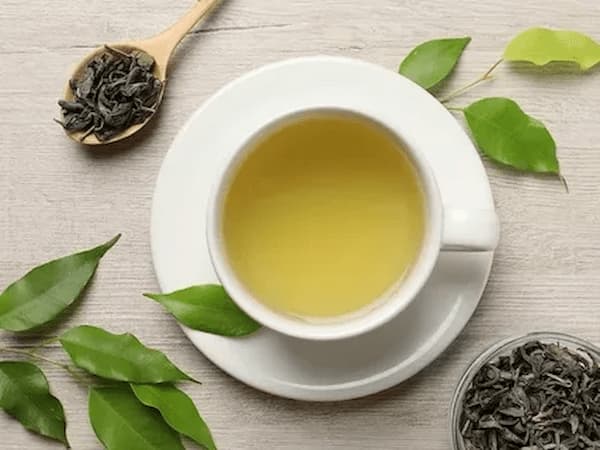 تصویر 4 از قیمت خرید چای سبز خشک شده با فروش عمده